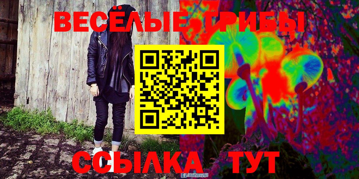 Семёнов  Псилоцибиновые грибы MAGIC MUSHROOMS  Вход с VPN 